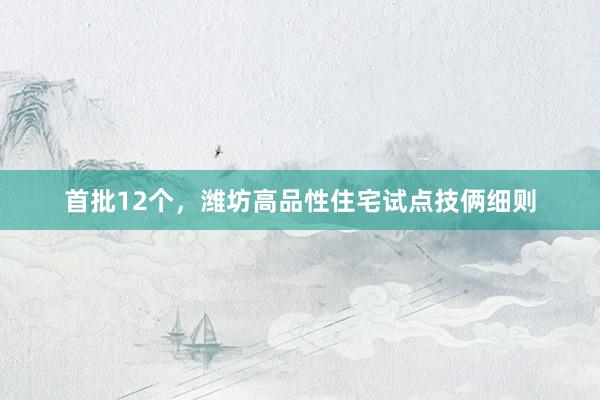 首批12个，潍坊高品性住宅试点技俩细则