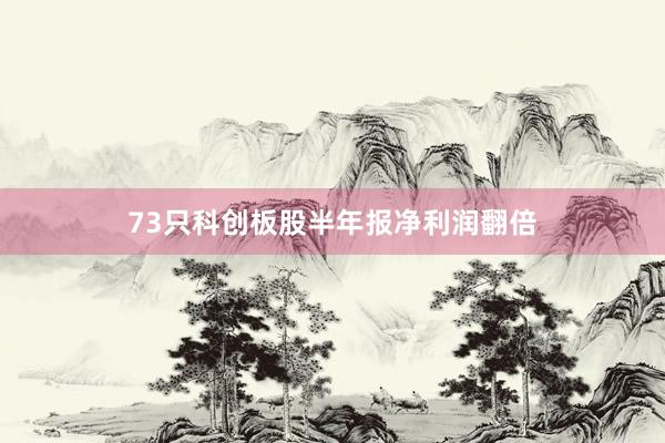 73只科创板股半年报净利润翻倍