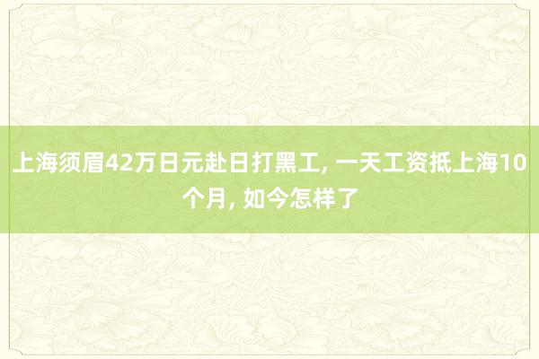 上海须眉42万日元赴日打黑工, 一天工资抵上海10个月, 如今怎样了