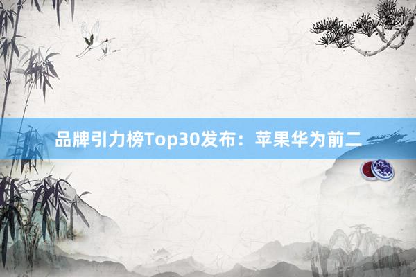 品牌引力榜Top30发布：苹果华为前二